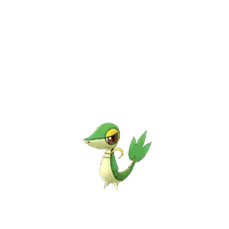 Snivy