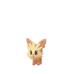 Lillipup