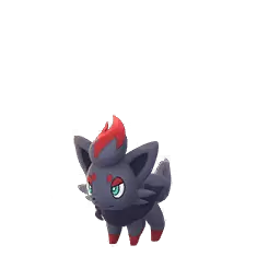 Zorua