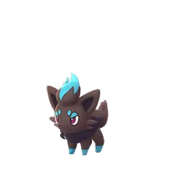 Zorua