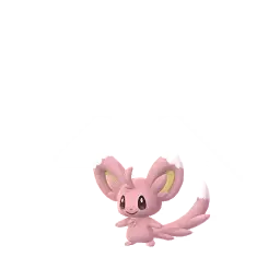 Minccino