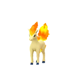 Ponyta