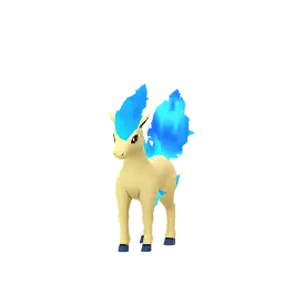 Ponyta