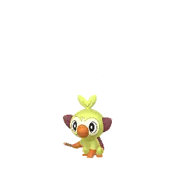 Grookey