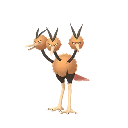 Dodrio