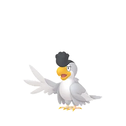 White Plumage